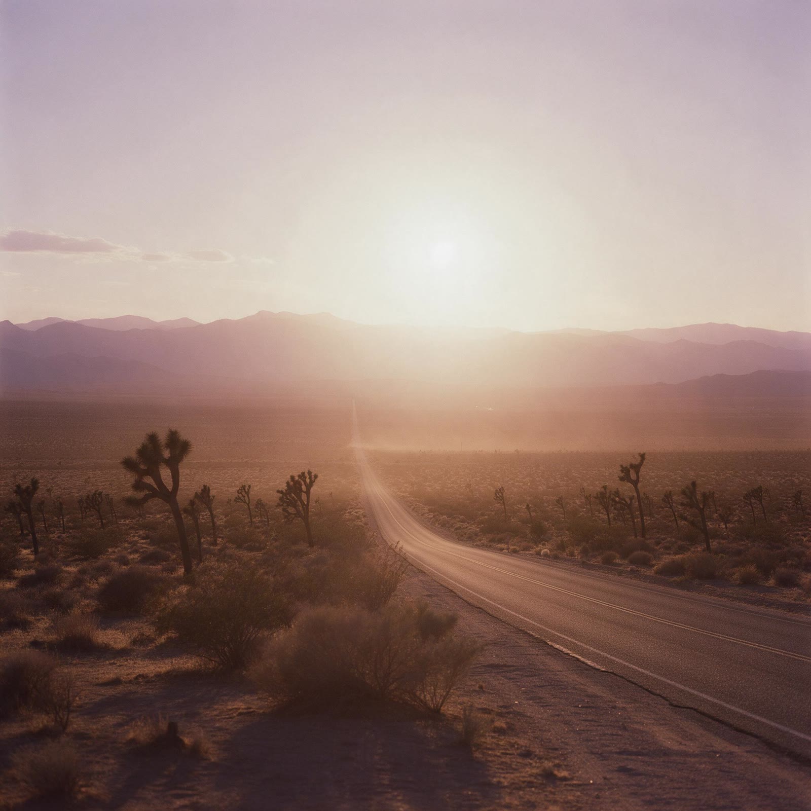 Desert Arrival: the work's own cover.