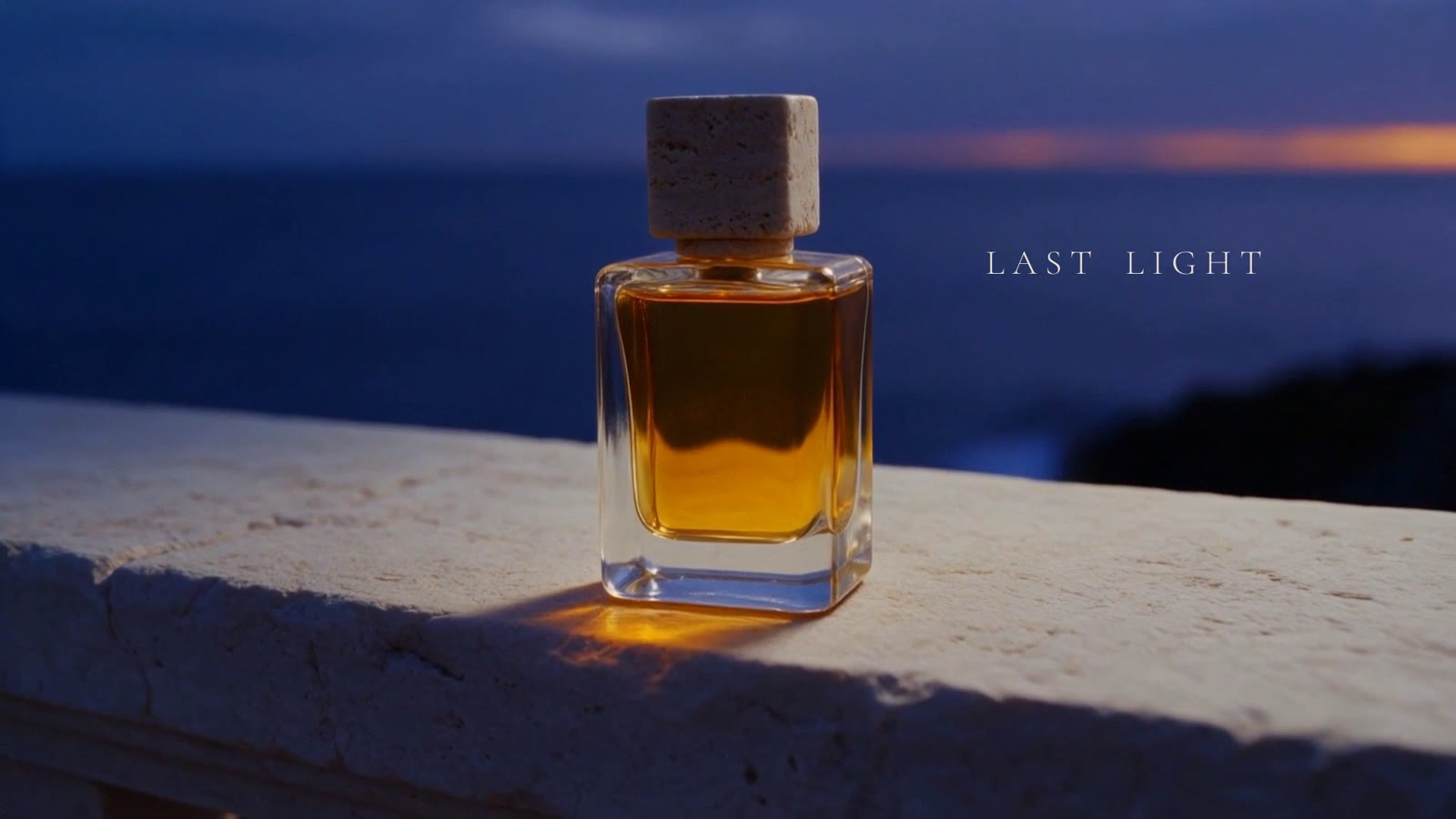 Last Light: the work's own cover.