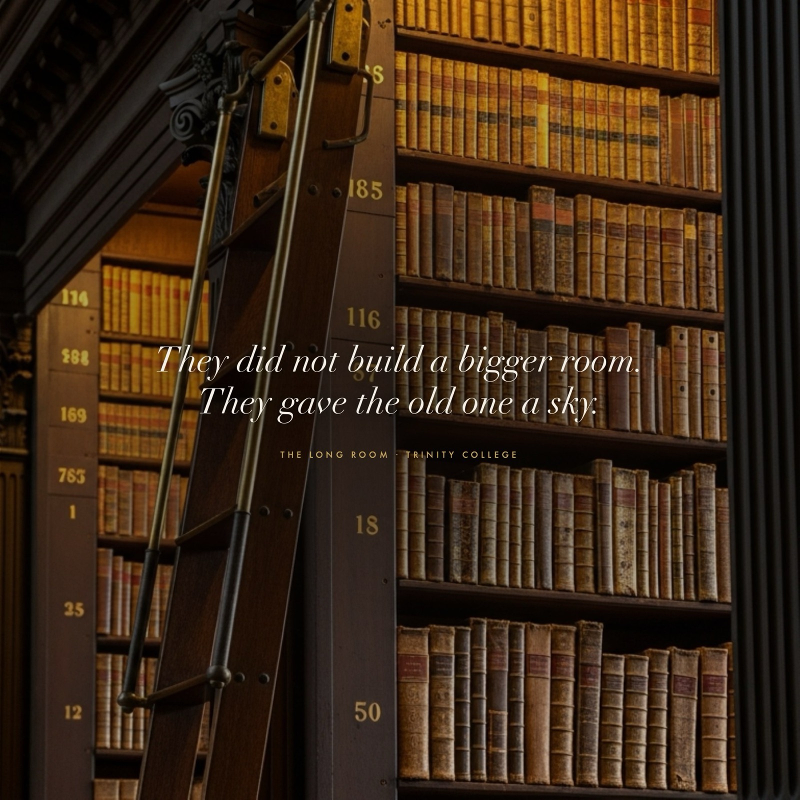 Libraries as Cathedrals, 7 of 21