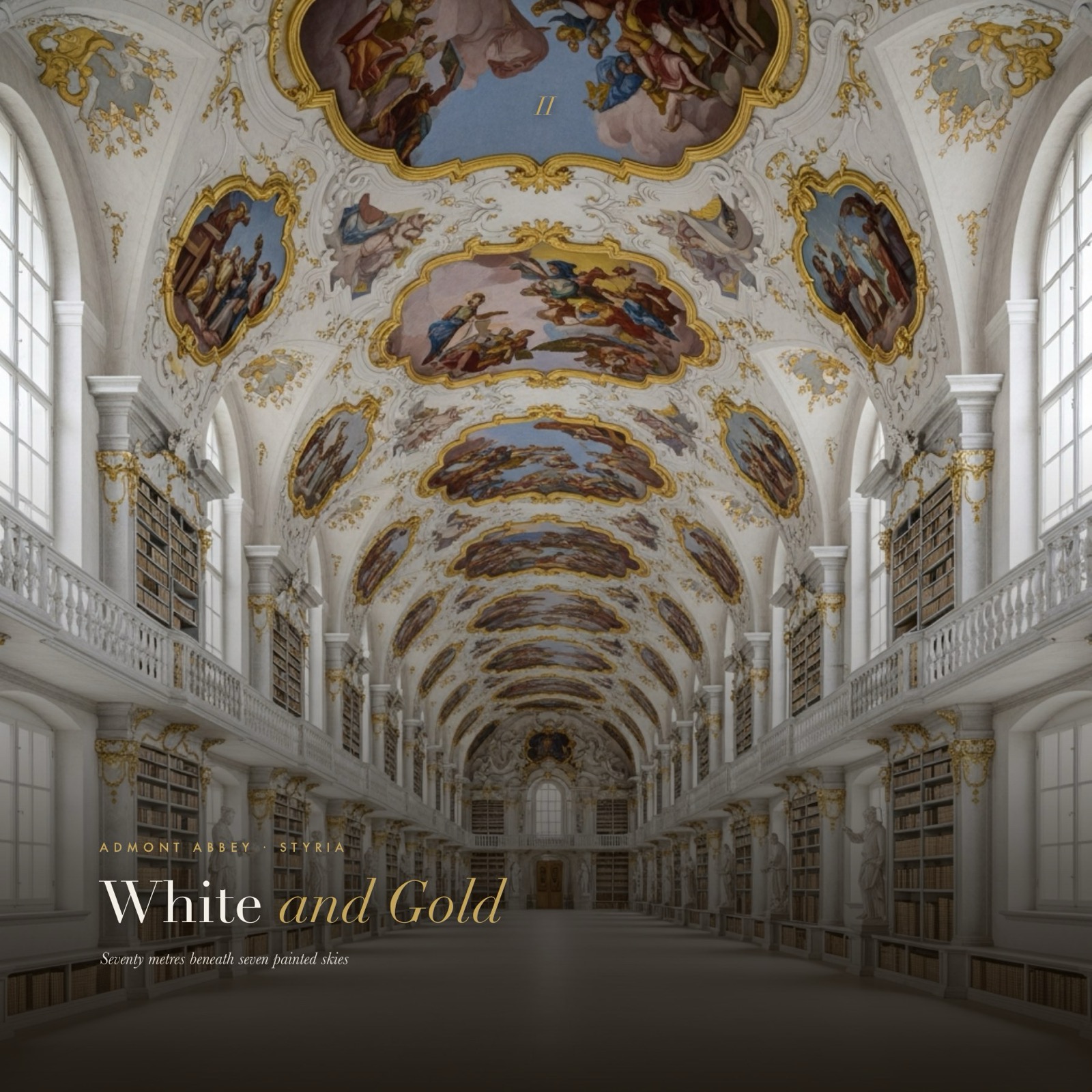 Libraries as Cathedrals, 8 of 21