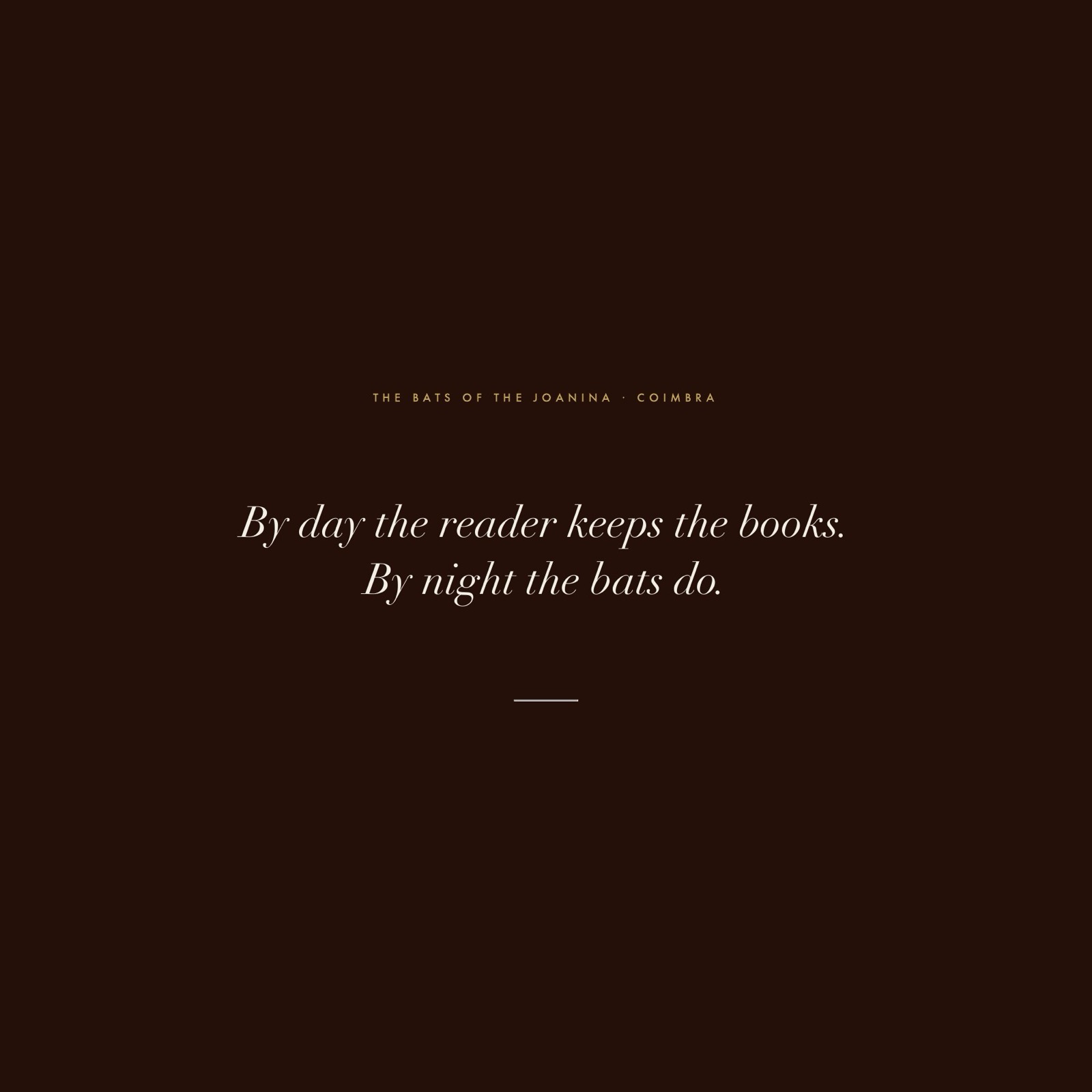 Libraries as Cathedrals, 16 of 21