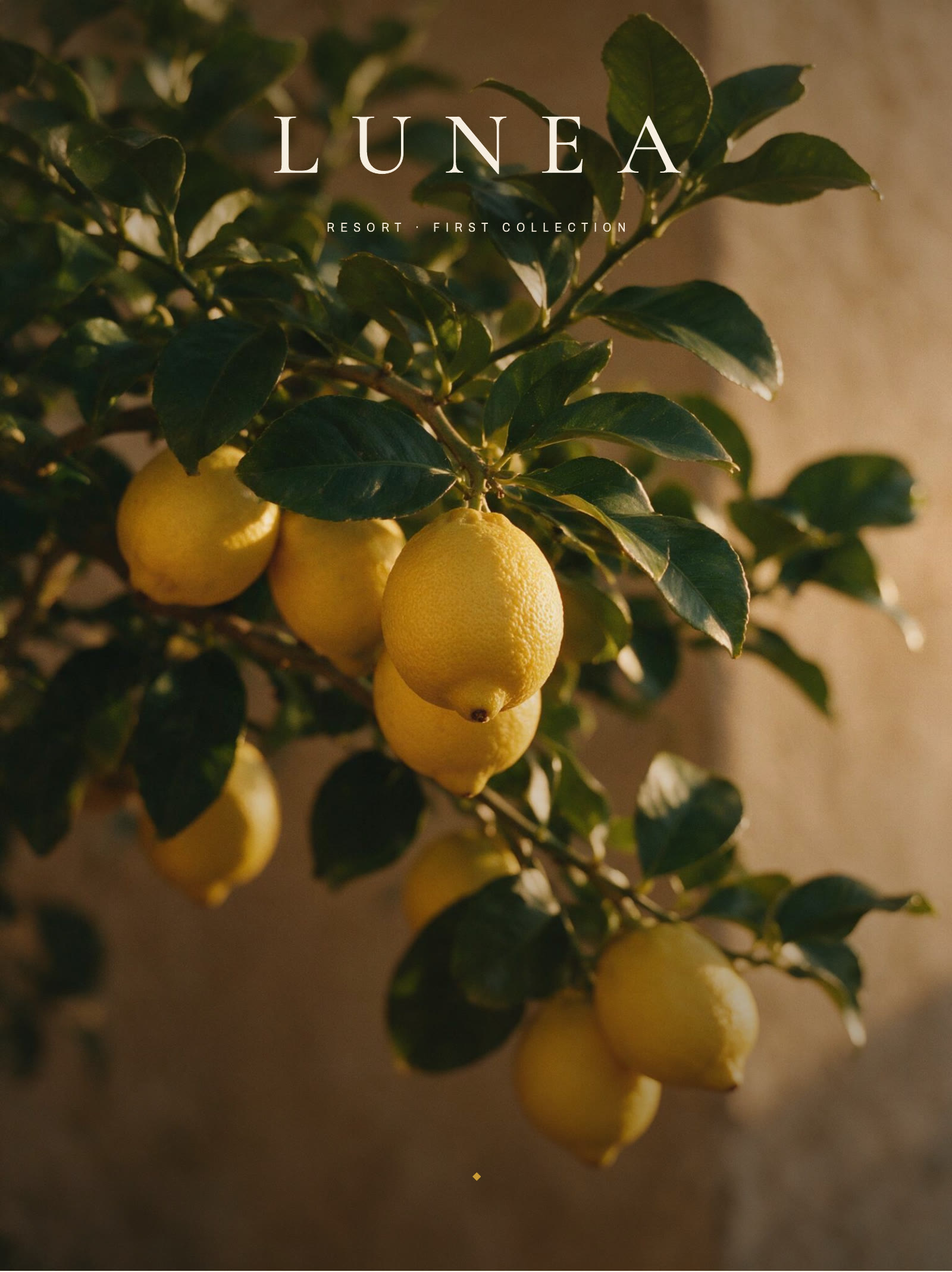 LUNEA: the work's own cover.