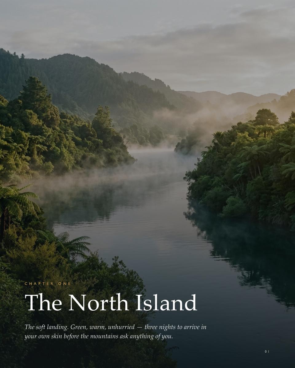 New Zealand: Family Trip of a Lifetime, 5 of 28