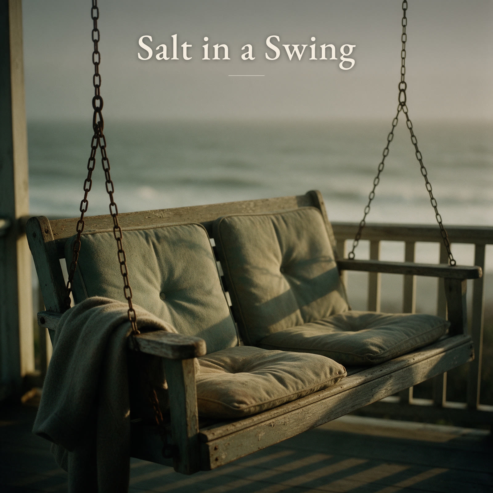 Salt in a Swing: the work's own cover.