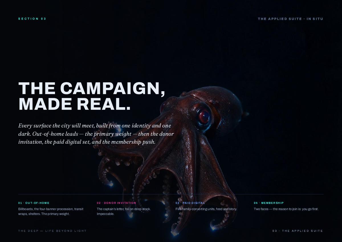 THE DEEP, 8 of 24