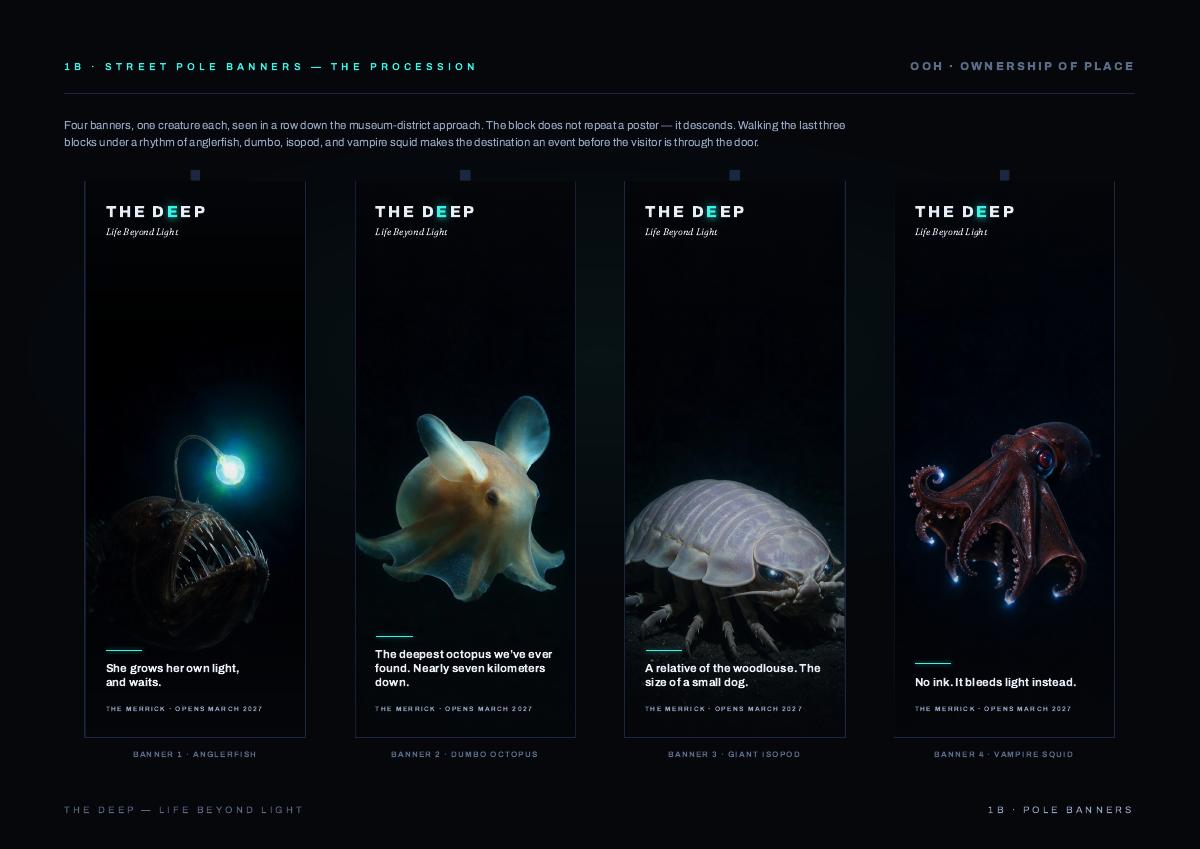 THE DEEP, 12 of 24