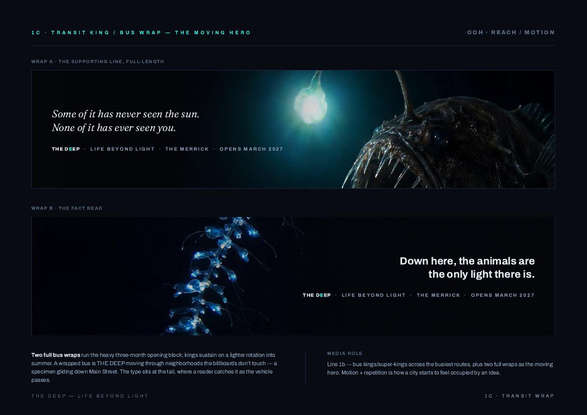 THE DEEP, 13 of 24