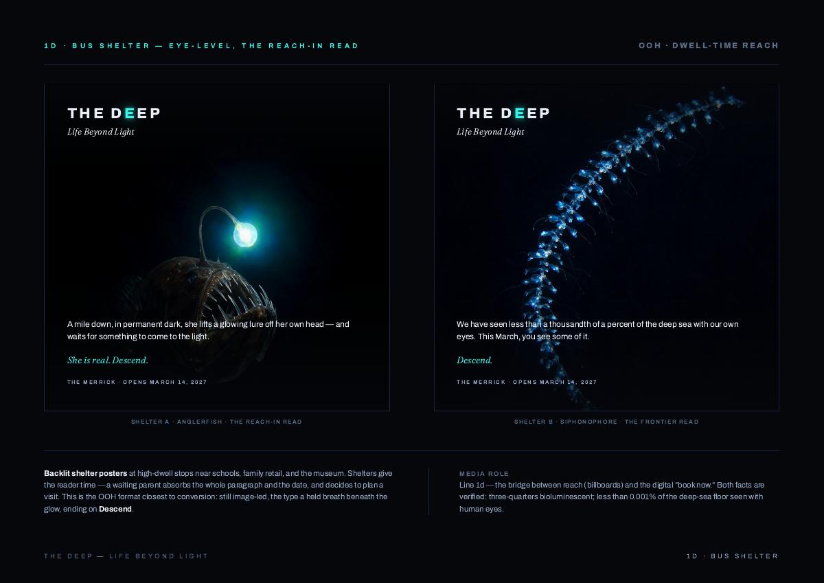 THE DEEP, 14 of 24