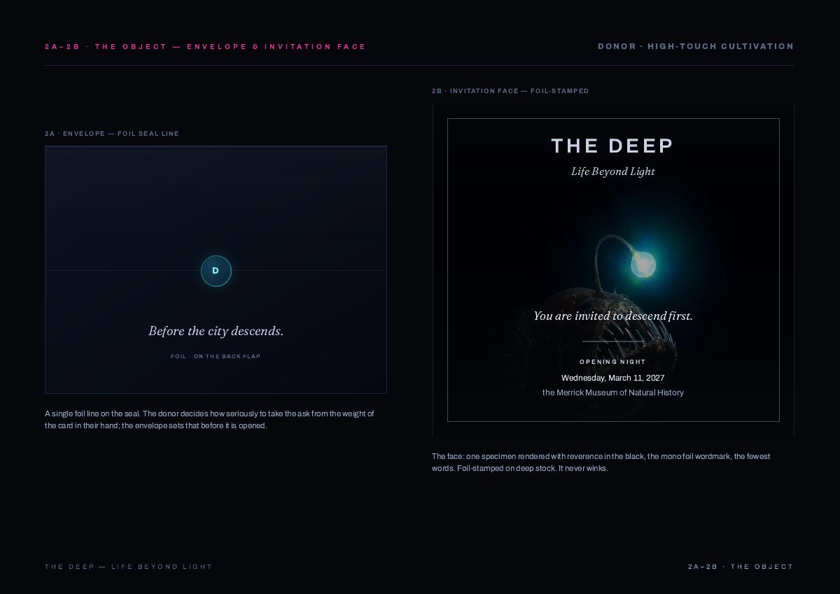 THE DEEP, 16 of 24