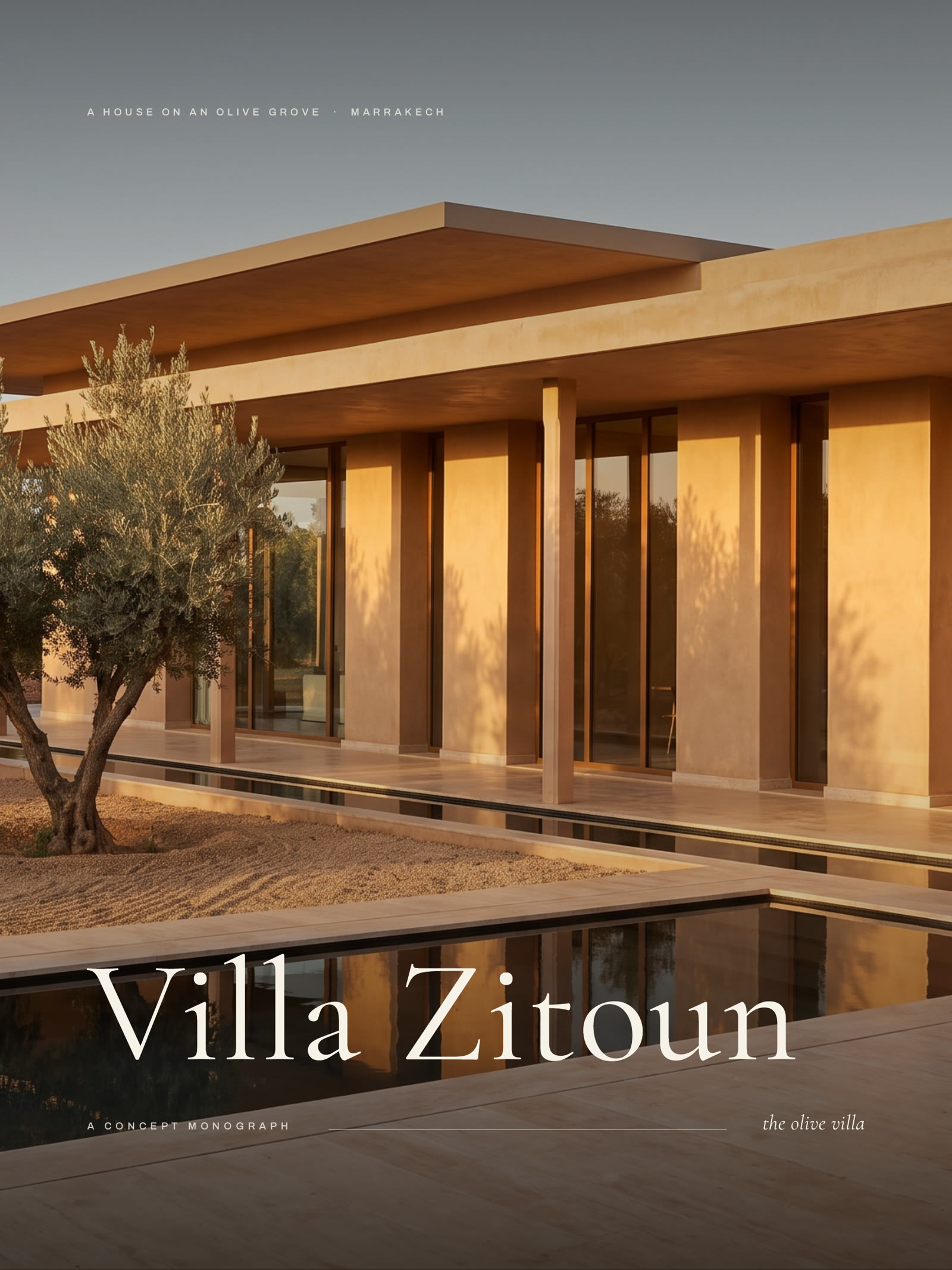 Villa Zitoun: the work's own cover.