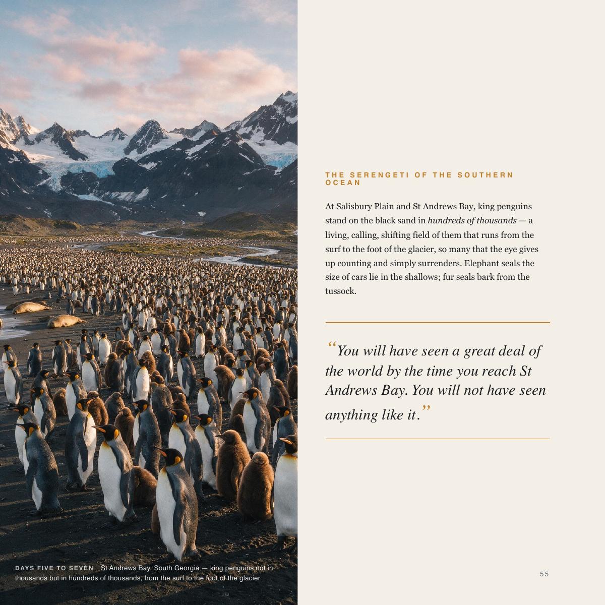 Voyages by Sea, 34 of 41