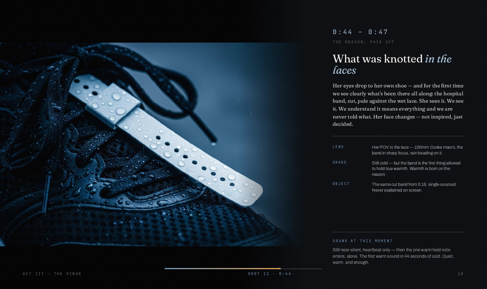 Why We Run, 16 of 36